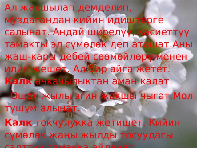 Ал жакшылап демделип, муздагандан кийин идиштерге салынат. Андай ширелүү, касиеттүү тамакты эл сүмөлөк деп аташат.Аны жаш-кары дебей сөөмөйлөрү менен илип жешет. Ал бир айга жетет. Калк ачкачылыктан аман калат.  Ошол жылы эгин жакшы чыгат.Мол түшүм алынат. Калк токчулукка жетишет. Кийин сүмөлөк жаңы жылды тосуудагы салттуу тамакка айланат. 
