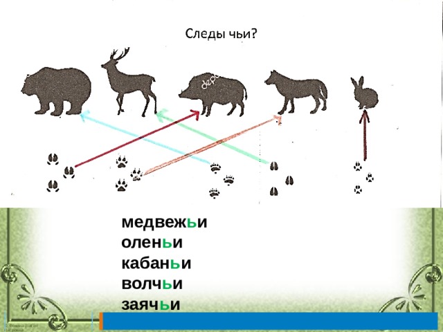 медвеж ь и олен ь и кабан ь и волч ь и заяч ь и 