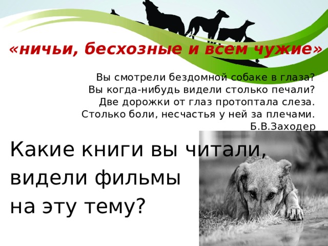 «ничьи, бесхозные и всем чужие» Вы смотрели бездомной собаке в глаза?  Вы когда-нибудь видели столько печали?  Две дорожки от глаз протоптала слеза.  Столько боли, несчастья у ней за плечами.  Б.В.Заходер Какие книги вы читали, видели фильмы на эту тему? 