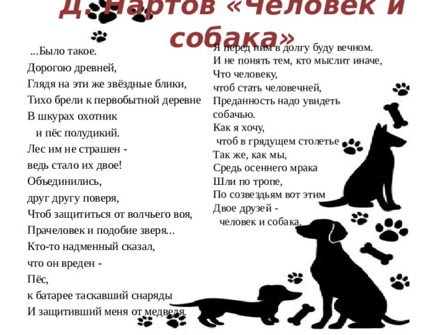 Д. Нартов «Человек и собака» Я перед ним в долгу буду вечном. И не понять тем, кто мыслит иначе, Что человеку, чтоб стать человечней, Преданность надо увидеть собачью. Как я хочу,   чтоб в грядущем столетье Так же, как мы, Средь осеннего мрака Шли по тропе, По созвездьям вот этим Двое друзей -   человек и собака.  ...Было такое. Дорогою древней, Глядя на эти же звёздные блики, Тихо брели к первобытной деревне В шкурах охотник     и пёс полудикий. Лес им не страшен - ведь стало их двое! Объединились, друг другу поверя, Чтоб защититься от волчьего воя, Прачеловек и подобие зверя... Кто-то надменный сказал, что он вреден - Пёс, к батарее таскавший снаряды И защитивший меня от медведя. 