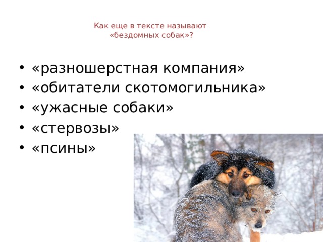  Как еще в тексте называют  «бездомных собак»?   «разношерстная компания» «обитатели скотомогильника» «ужасные собаки» «стервозы» «псины» 