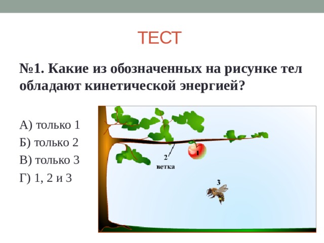 ТЕСТ № 1. Какие из обозначенных на рисунке тел обладают кинетической энергией?  А) только 1 Б) только 2 В) только 3 Г) 1, 2 и 3 