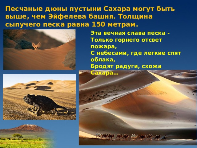 Песчаные дюны пустыни Сахара могут быть выше, чем Эйфелева башня. Толщина сыпучего песка равна 150 метрам. Эта вечная слава песка - Только горнего отсвет пожара, С небесами, где легкие спят облака, Бродят радуги, схожа Сахара… 