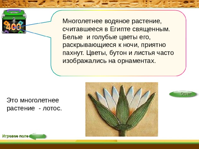 Многолетнее водяное растение, считавшееся в Египте священным. Белые и голубые цветы его, раскрывающиеся к ночи, приятно пахнут. Цветы, бутон и листья часто изображались на орнаментах. Ответ Это многолетнее растение - лотос. Игровое поле 