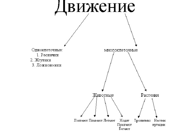 Презентация движение организмов