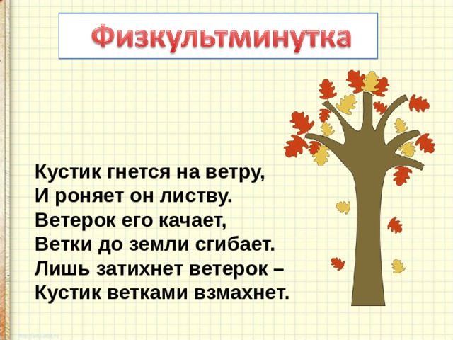 Кустик гнется на ветру,  И роняет он листву.  Ветерок его качает,  Ветки до земли сгибает.  Лишь затихнет ветерок –  Кустик ветками взмахнет. 