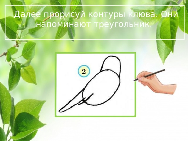  Далее прорисуй контуры клюва. Они напоминают треугольник .  