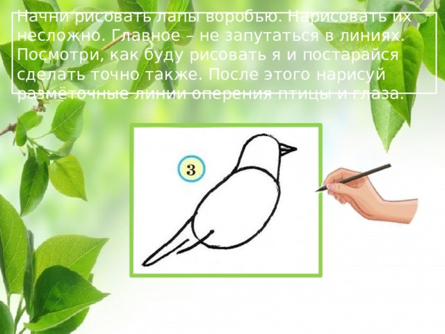  Начни рисовать лапы воробью. Нарисовать их несложно. Главное – не запутаться в линиях. Посмотри, как буду рисовать я и постарайся сделать точно также. После этого нарисуй размёточные линии оперения птицы и глаза.  
