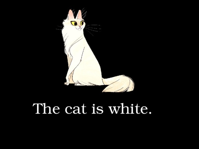 The cat is white. 