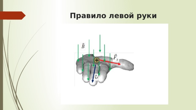 Правило лев