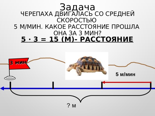 Скорость улитки в минуту. Скорость черепахи. Черепаха движется со скоростью. Задачи для Черепашки. Задача про черепаху.