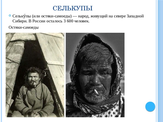 Селькупы Сельку́пы (или остяки-самоеды) — народ, живущий на севере Западной Сибири. В России осталось 3 600 человек. Остяки-самоеды 