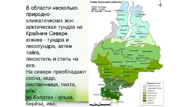 В пределах каких природных зон расположена сибирь. Карта природных зон Тюменской области. Природно климатические зоны Тюменской области. Природные зоны Западно сибирской равнины на карте. Природные зоны ЯНАО карта.
