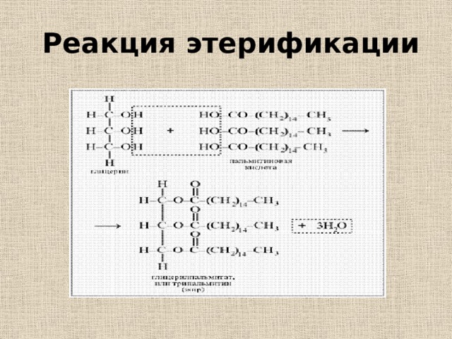   Реакция этерификации 