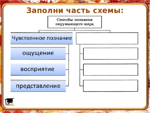 Как мы познаем мир информатика 6 класс