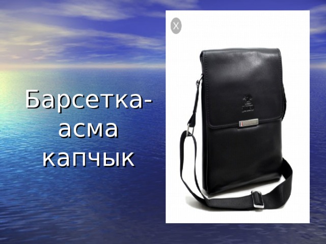 Барсетка-асма капчык 