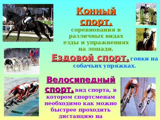 Конный спорт,  соревнования в различных видах езды и упражнениях на лошади. Ездовой спорт,  гонки на собачьих упряжках. Велосипедный спорт,  вид спорта, в котором спортсменам необходимо как можно быстрее проходить дистанцию на велосипедах. 