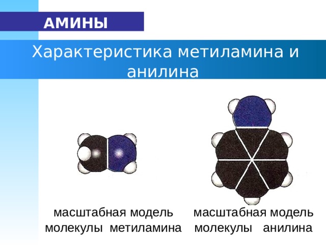   АМИНЫ  Характеристика метиламина и анилина  масштабная модель  молекулы метиламина  масштабная модель  молекулы анилина 