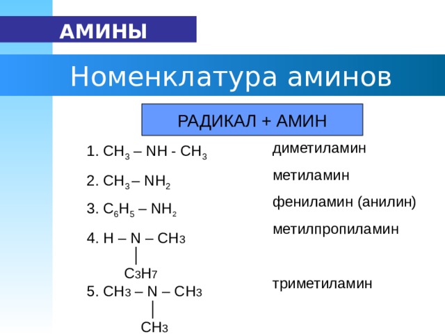  АМИНЫ   Номенклатура аминов РАДИКАЛ + АМИН диметиламин метиламин фениламин (анилин) метилпропиламин триметиламин 1. СН 3 – N Н - СН 3  2. СН 3 – N Н 2  3. С 6 Н 5 – N Н 2  4. H – N – CH 3    │    С 3 Н 7 5. CH 3 – N – CH 3      │   СН 3 