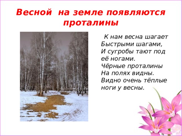 Ранней весной на лесных опушках появляются проталины у зайцев рождаются детеныши составить план