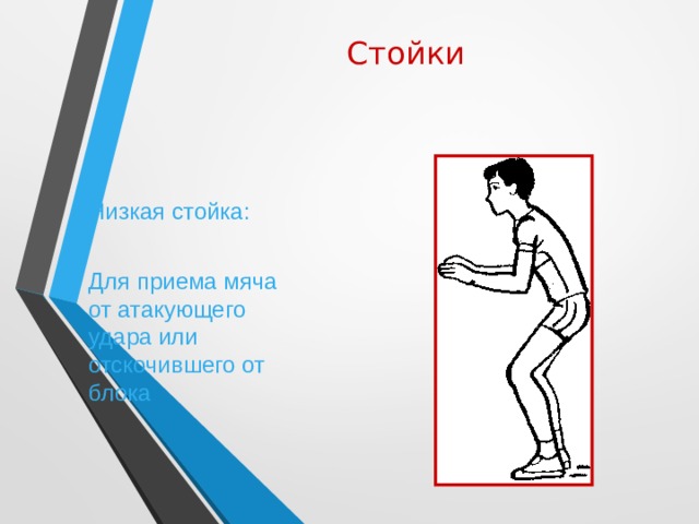 Стойки Низкая стойка: Для приема мяча от атакующего удара или отскочившего от блока 