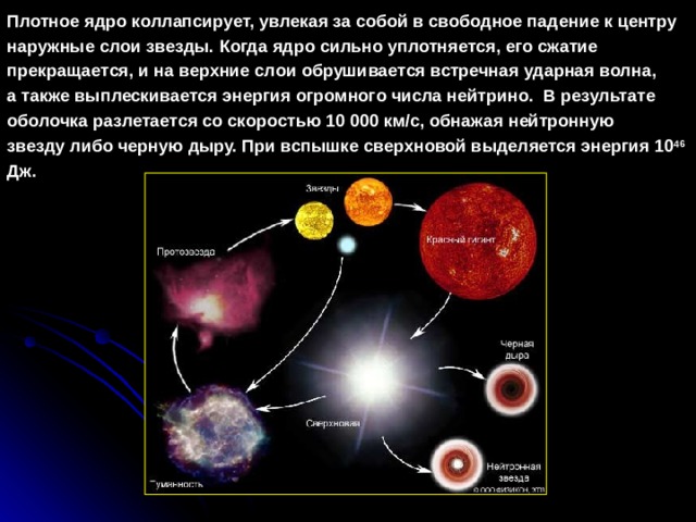 Плотное ядро коллапсирует, увлекая за собой в свободное падение к центру  наружные слои звезды. Когда ядро сильно уплотняется, его сжатие прекращается, и на верхние слои обрушивается встречная ударная волна, а также выплескивается  энергия огромного числа нейтрино. В результате оболочка разлетается со  скоростью 10 000 км/с, обнажая нейтронную звезду либо черную дыру. При вспышке сверхновой выделяется энергия 10 46 Дж.  