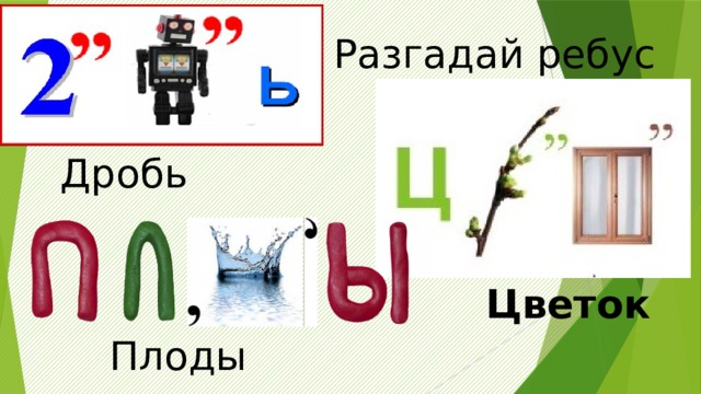 Ребус цветок. Плоды ребусы. Ребус дробь. Ребус эмбрион. Ребус зародыш.