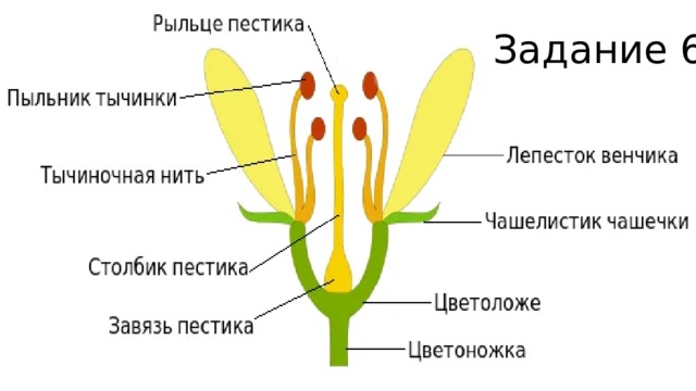 Соотнесите названия углов с их изображениями