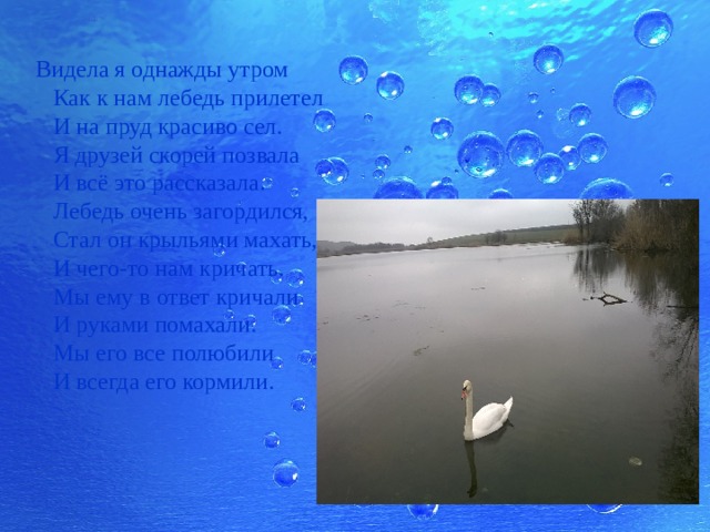  Видела я однажды утром       Как к нам лебедь прилетел       И на пруд красиво сел.       Я друзей скорей позвала       И всё это рассказала.       Лебедь очень загордился,       Стал он крыльями махать,       И чего-то нам кричать.       Мы ему в ответ кричали       И руками помахали.       Мы его все полюбили       И всегда его кормили. 