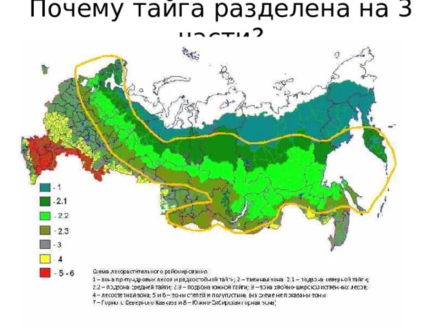 Северная тайга россии карта