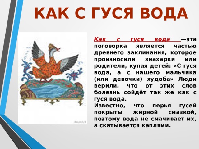 Как переводится вод. Как с гуся вода. Поговорка как с гуся вода. Пословица с гуся вода. Что означает как с гуся вода.