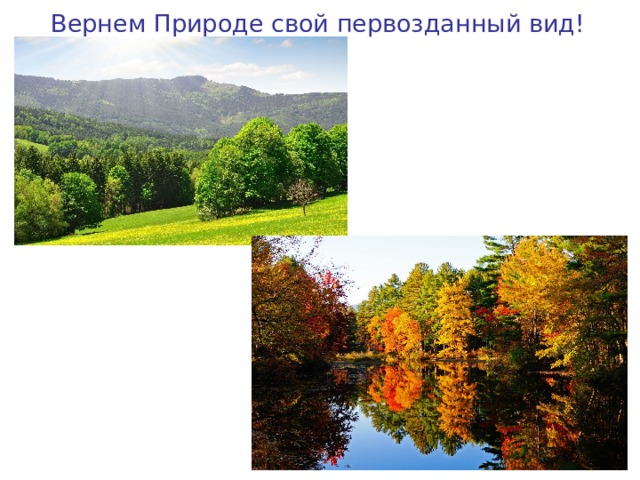 Вернем Природе свой первозданный вид! 