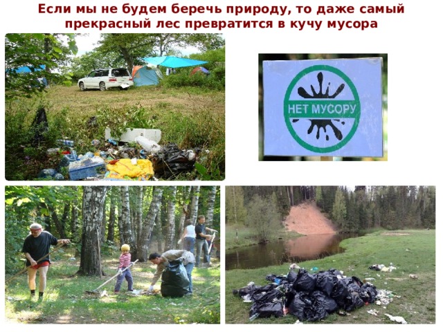 Если мы не будем беречь природу, то даже самый прекрасный лес превратится в кучу мусора 