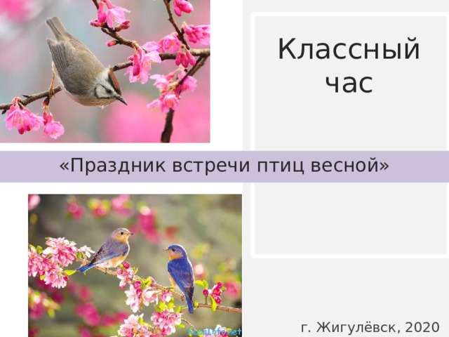 Классный час   «Праздник встречи птиц весной» г. Жигулёвск, 2020 