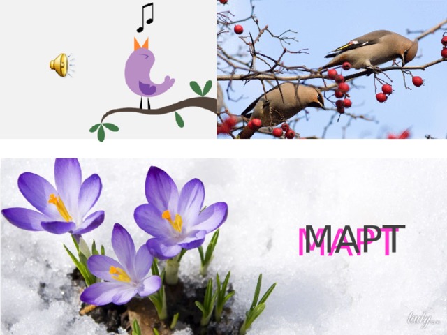 МАРТ МАРТ 
