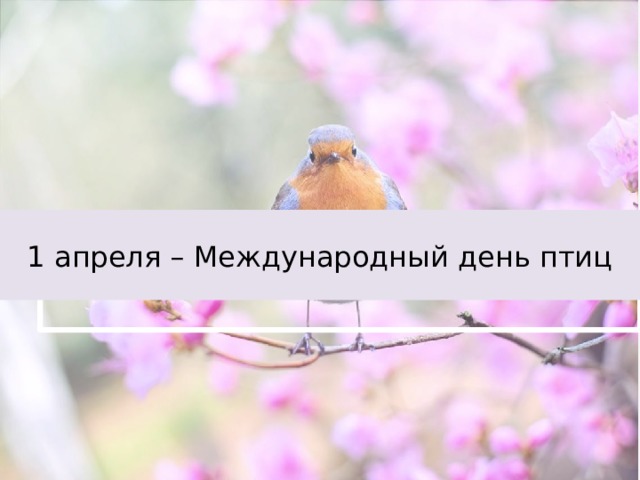 1 апреля – Международный день птиц 