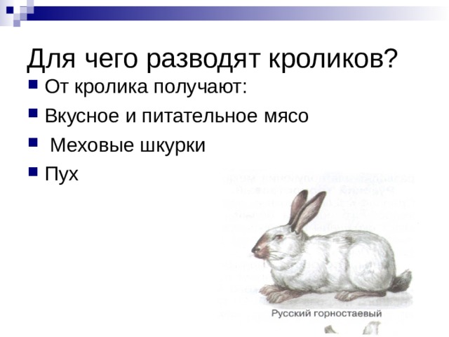 Что человек получает от кролика. Для чего разводят кроликов. Тема кролик. Что получают от кроликов.