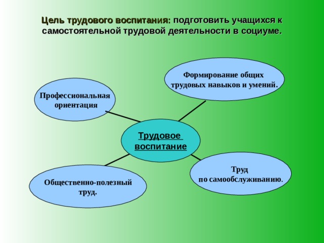 Трудовые проекты в школе