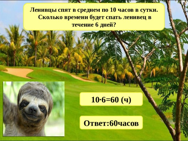 Ленивцы спят в среднем по 10 часов в сутки.  Сколько времени будет спать ленивец в течение 6 дней? 10·6=60 (ч) Ответ:60часов 