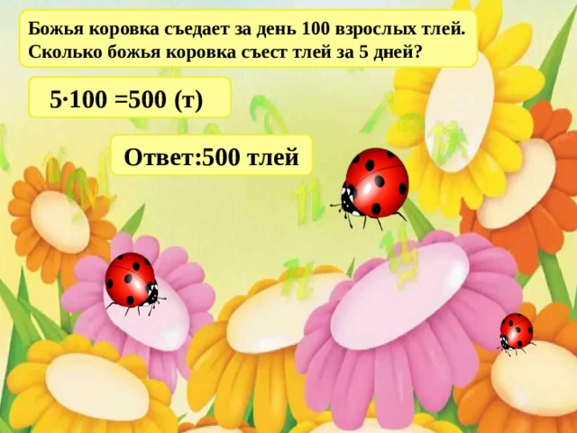 Божья коровка съедает за день 100 взрослых тлей. Сколько божья коровка съест тлей за 5 дней? 5·100 =500 (т) Ответ:500 тлей 