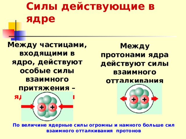 Между какими частицами действуют ядерные силы. Силы действующие между протонами в атомном ядре. Какие силы действуют в ядре?. Какие силы действуют между протонами в ядре. Между протонами в ядре.