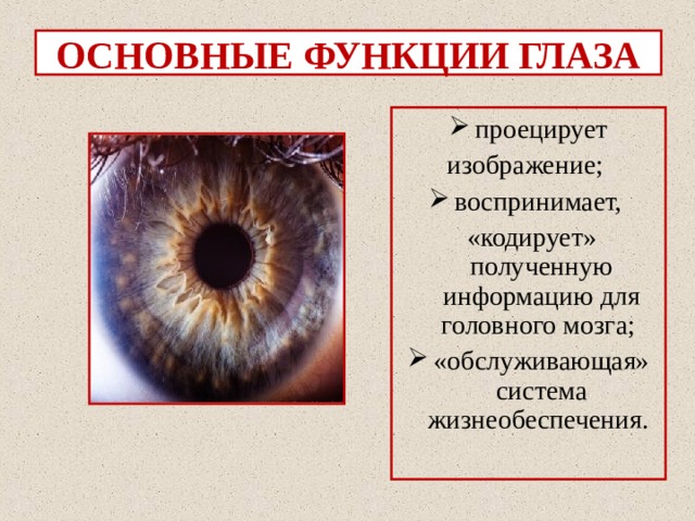 Основные функции зрения