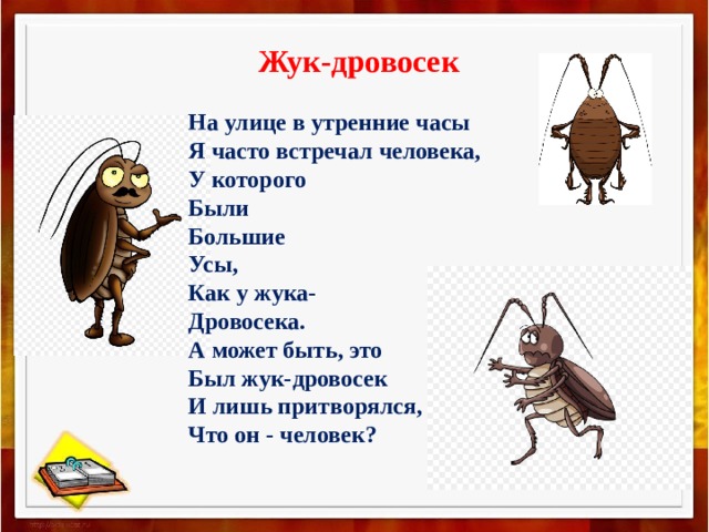 Стихотворение сказала жучка себе. Стих про жука. Стихотворение про жука. Стихи про Жуков для детей. Детское стихотворение про жука.