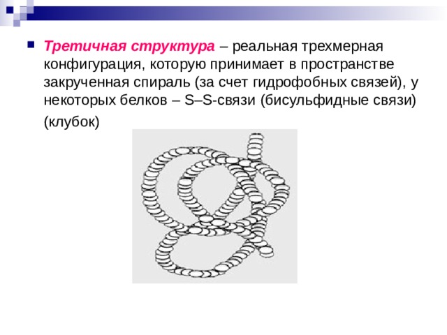 Третичная структура  – реальная трехмерная конфигурация, которую принимает в пространстве закрученная спираль (за счет гидрофобных связей), у некоторых белков – S–S-связи (бисульфидные связи)  (клубок) 
