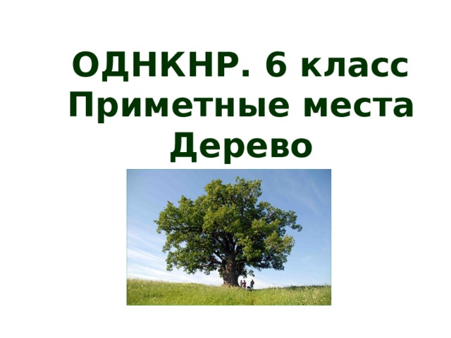 Однкр 8 класс. ОДНКНР 6 класс. Приметное дерево.