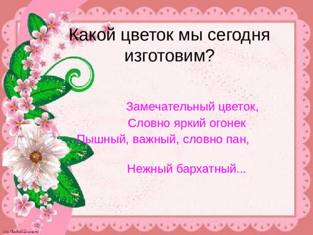Какой цветок мы сегодня изготовим?   Замечательный цветок,  Словно яркий огонек Пышный, важный, словно пан,  Нежный бархатный... 