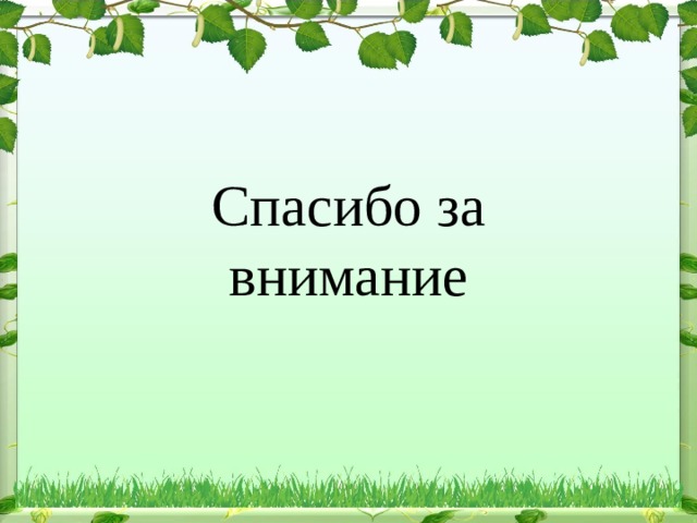 Спасибо за внимание