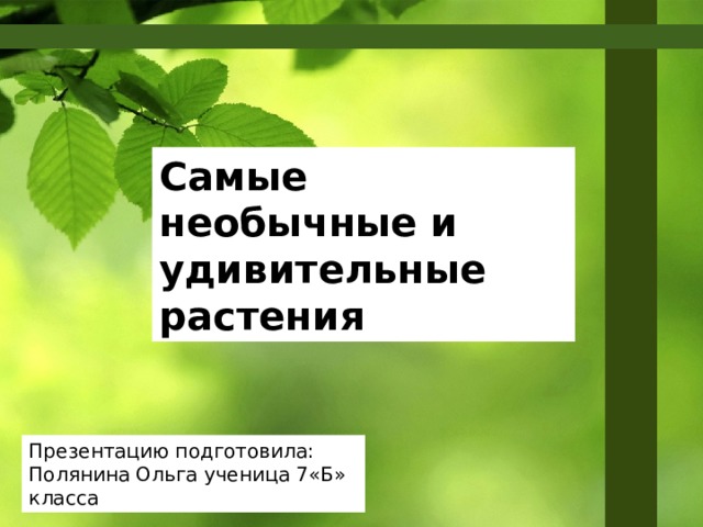 Как сделать презентацию интересной и необычной