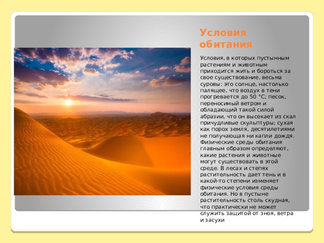 Приспособление животных к обитанию в пустыне. Условия обитания в пустыне. Условия среды в пустыне. Условия обиьания в пустыни. Условия обитания растений и животных в пустыне.