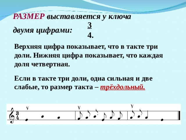 Вид размера 4 4. Размер такта. Тактовый размер в Музыке. Доли в такте. Музыкальный размер в Музыке.